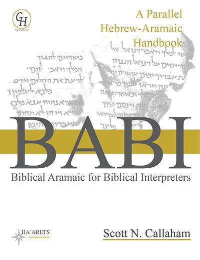 Biblical Aramaic for Biblical Interpreters