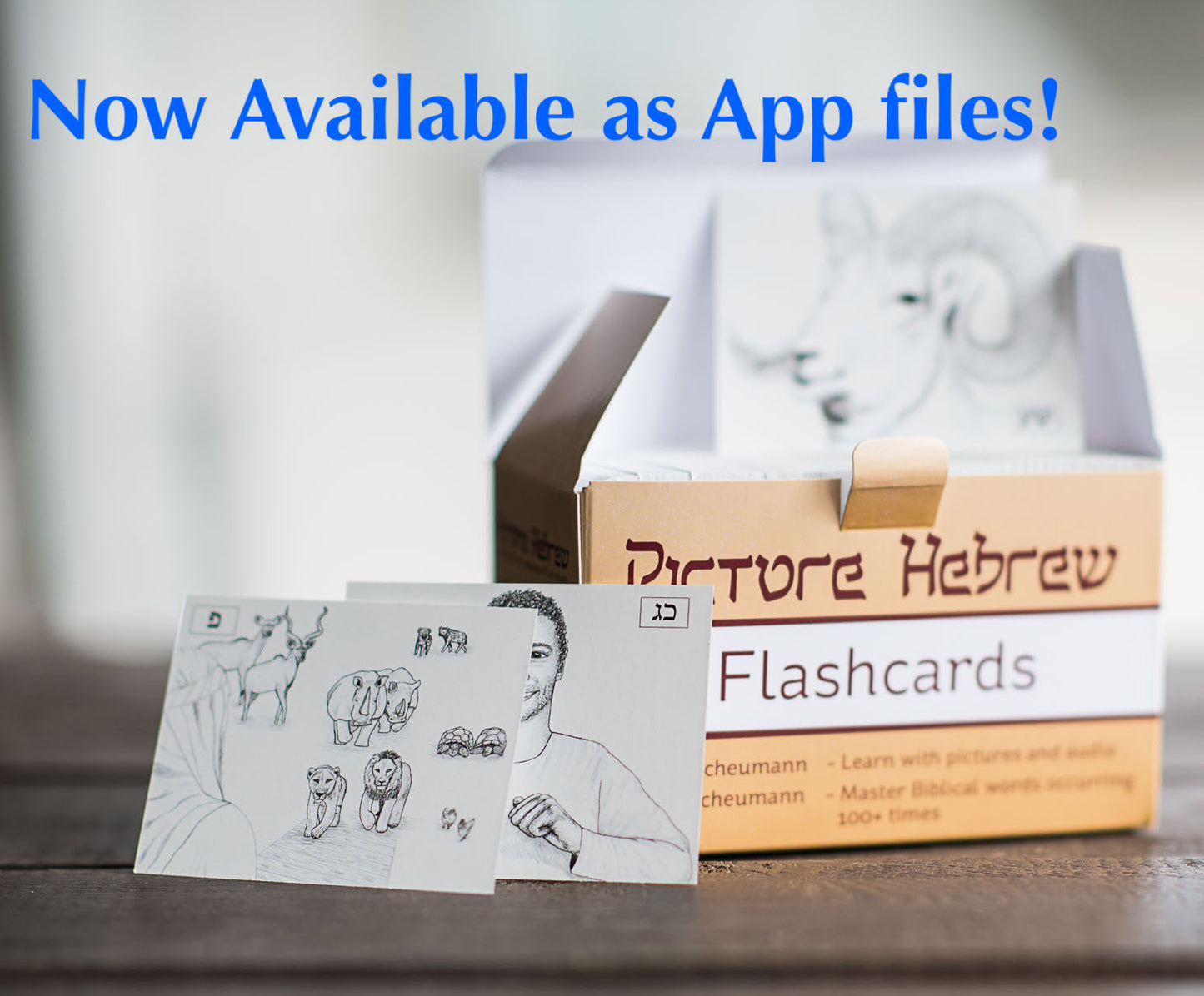 Picture Hebrew Flashcard App (4th Edition)
