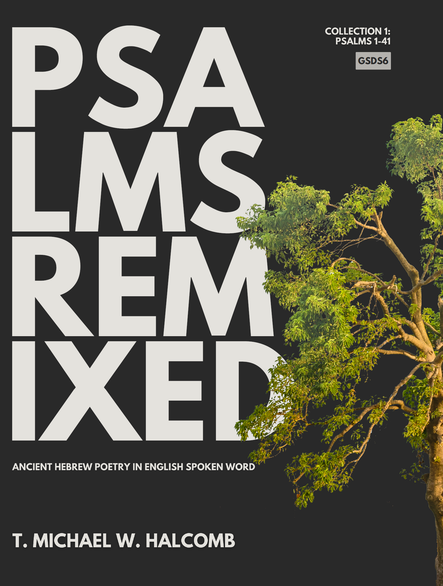 Psalms Remixed: Ancient Hebrew Poetry in English Spoken Word