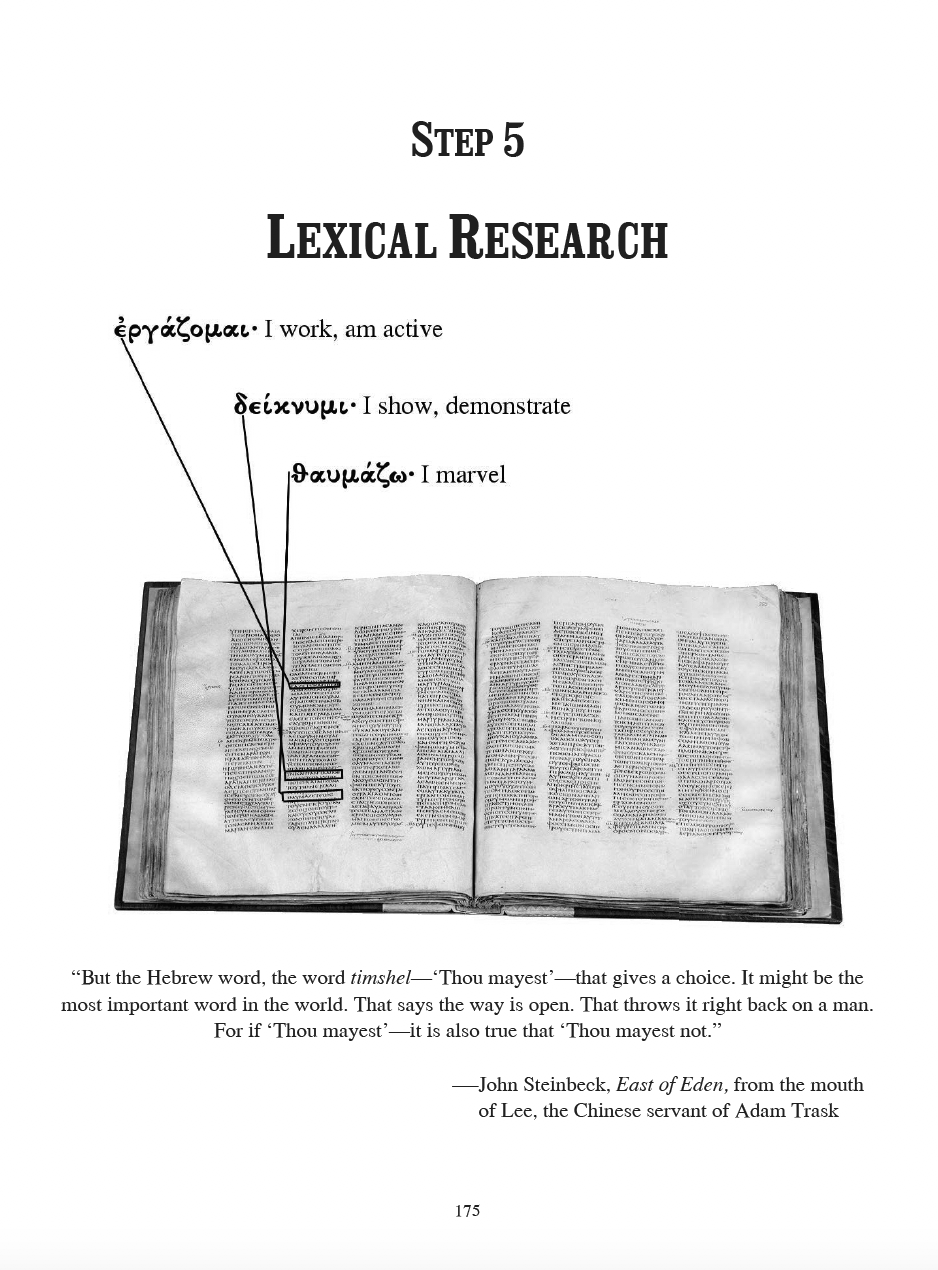 In Step with God's Word: Interpreting the New Testament with God's People